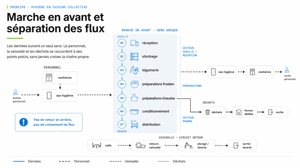 Schéma de la marche en avant en cuisine collective : circulation des denrées sans croisement de flux
